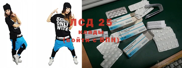 ПСИЛОЦИБИНОВЫЕ ГРИБЫ Ладушкин