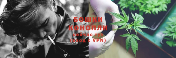 ПСИЛОЦИБИНОВЫЕ ГРИБЫ Ладушкин