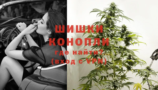 гашик Лагань