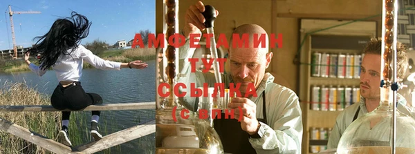 ПСИЛОЦИБИНОВЫЕ ГРИБЫ Ладушкин